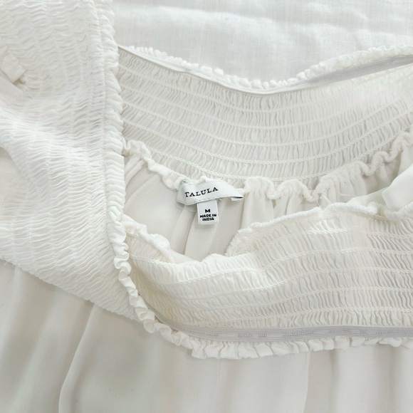 Aritzia Talula Horatio Dress - Picture 4 of 13